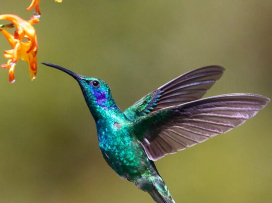 wellness on whyte blog post