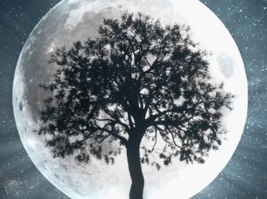 geha-gift wellness on whyte