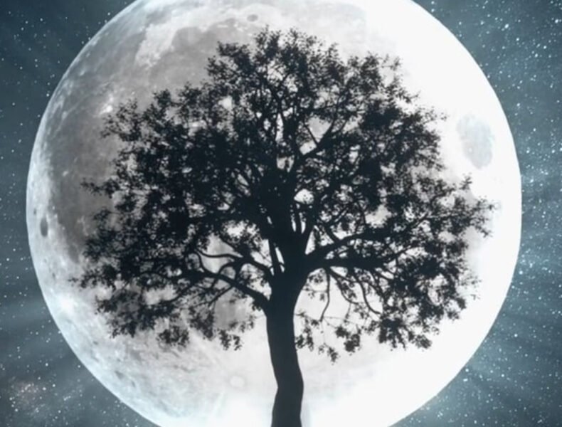 geha-gift wellness on whyte